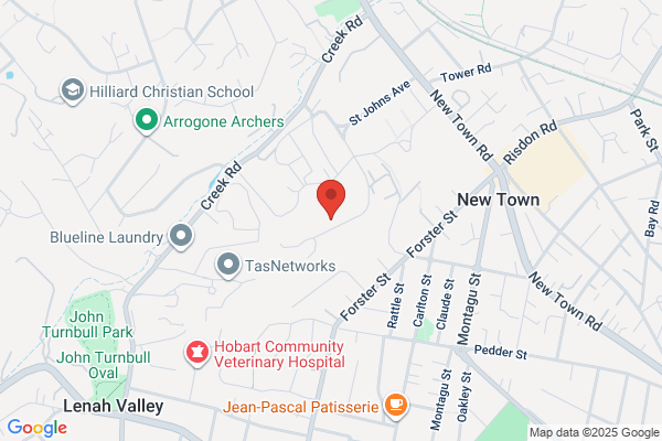 Analytical Services Tasmania