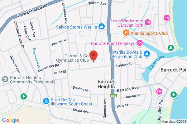 Carmel & Co Gymnastics Shellharbour