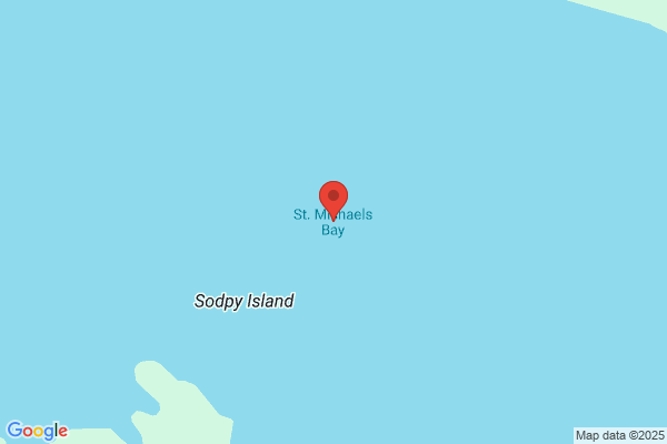Bay Michael