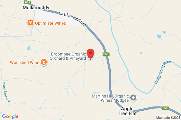 Broombee Organic Wines