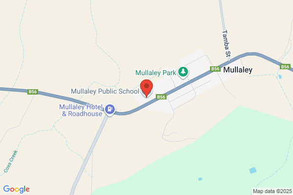 Mullaley Public School