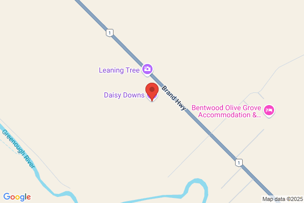 Daisy Downs Pty Ltd