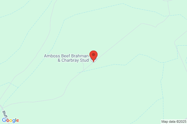 Alf Chave B'Berg Pty Ltd