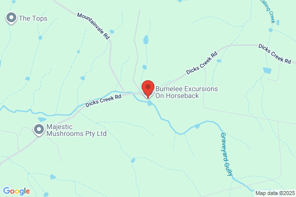 Burnelee Excursions On Horseback