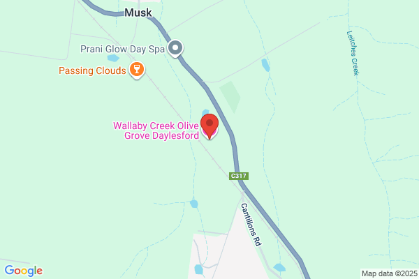 Wallaby Creek Olive Grove