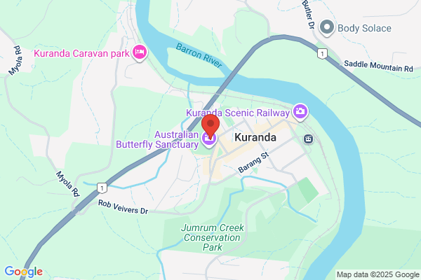 Kuranda Tropical Fruit Home Made Ice Cream