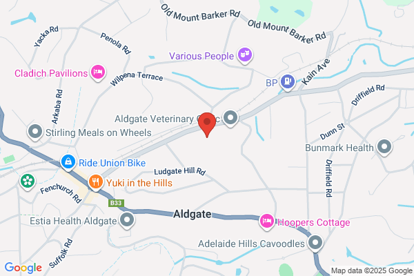 Aldgate Pump Sales & Service
