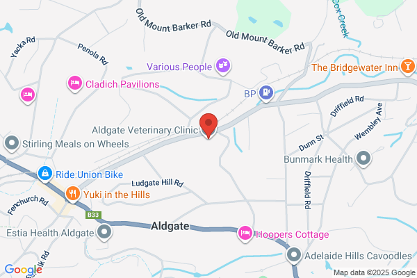 Aldgate Veterinary Clinic