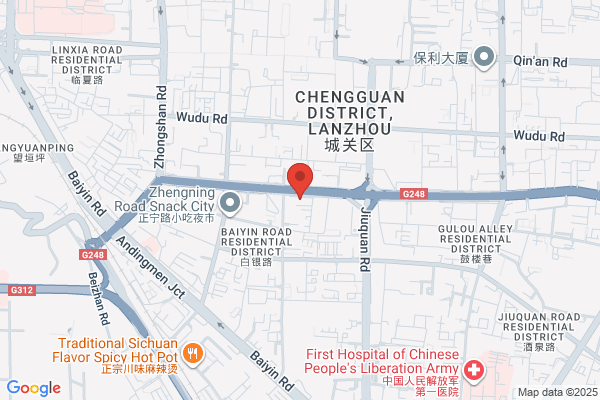China Southern Airlines Co Ltd