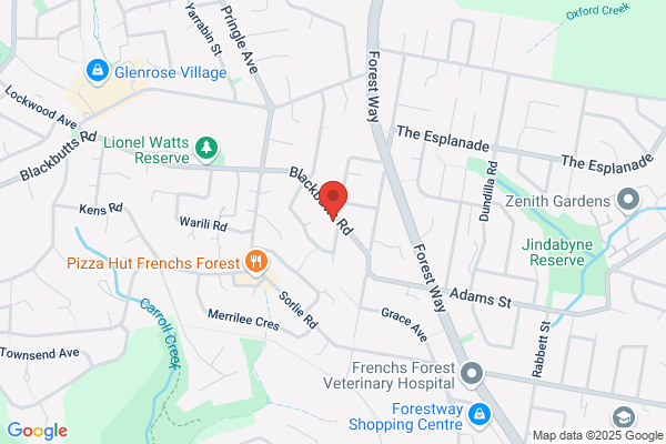 Cesar Puertolas Podiatry Surgery