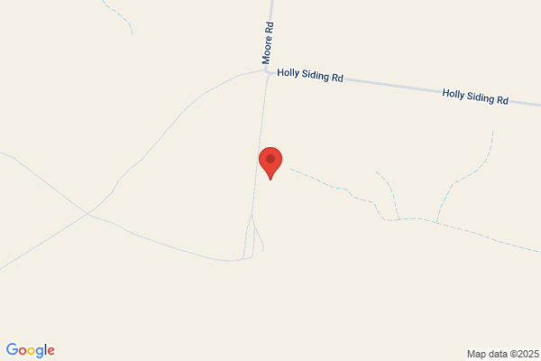 Holly Australia