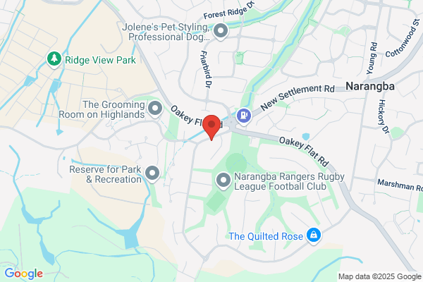 Brian Griffin Builder