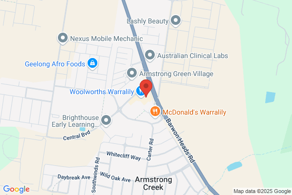 Earth Auto Electrical Pty Ltd