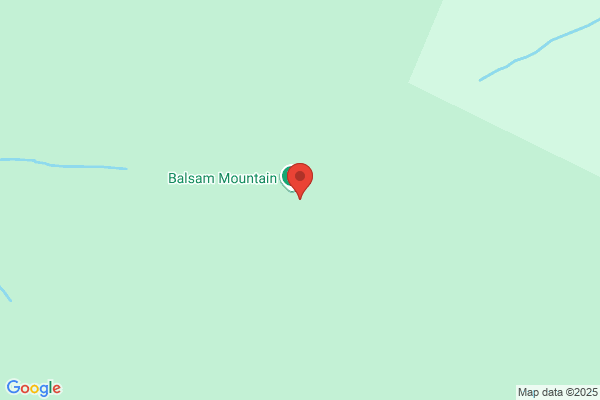 Balsom M T