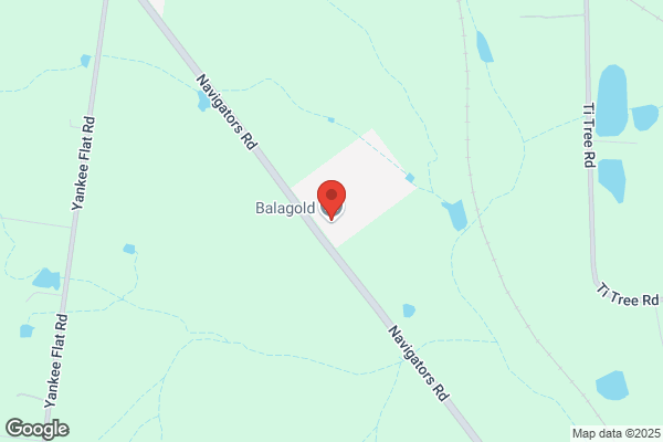 Balagold Santa Gertrudis