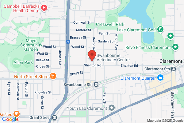 A Paterson,Swanbourne Veterinary Centre