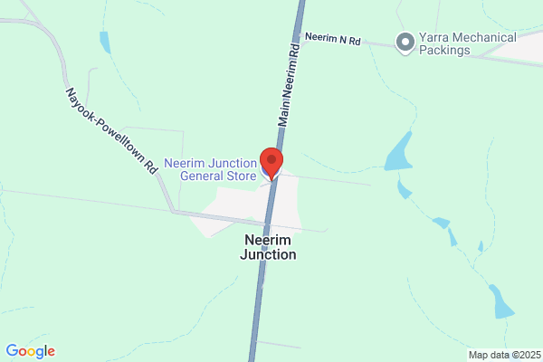 Davidson R H