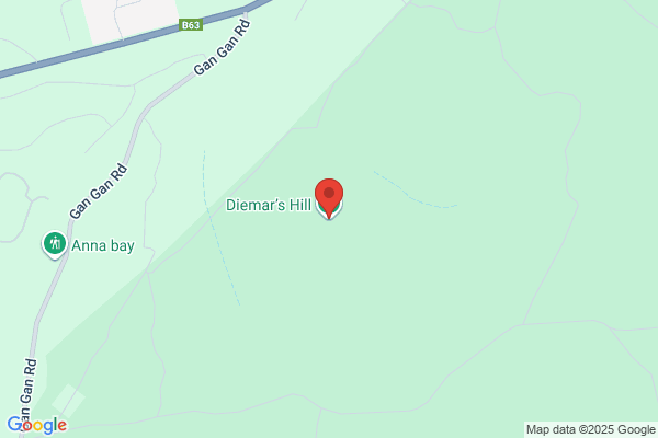Diemar G S