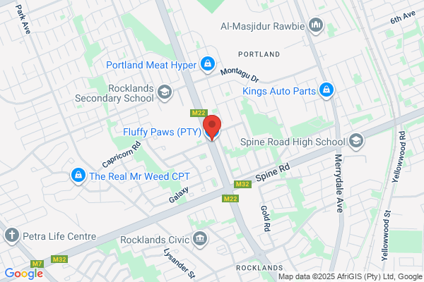 Holiday Paws Pty Ltd