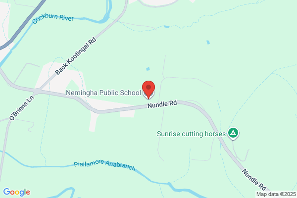 Nemingha Public School