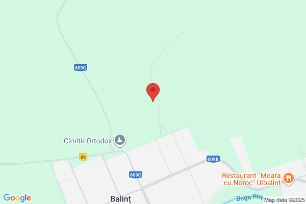 Balint & Co