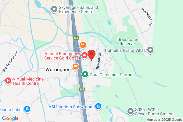 Mudgeeraba Tallai Auto Service Centre