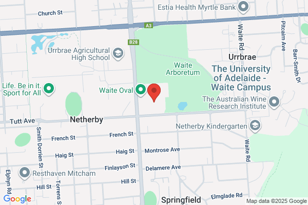 Adelaide University Rugby Union Football Club