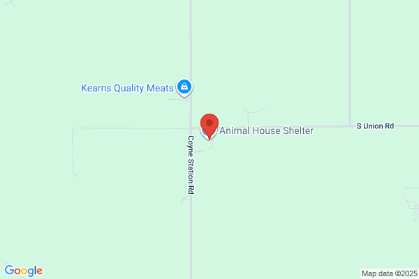 Animal House Animal Agencies