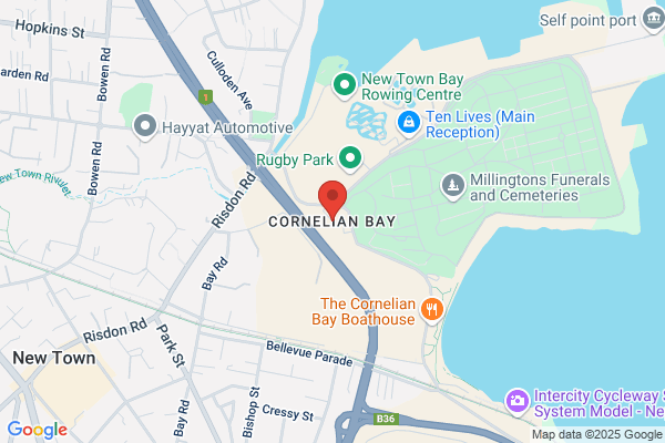 Cornelian Bay Technology