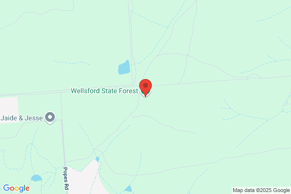 Wellsford Forest Retreat