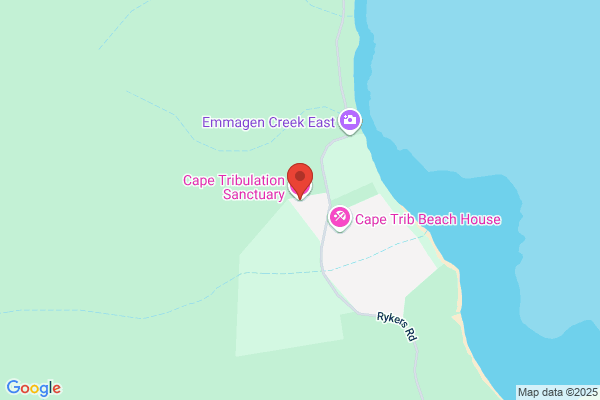 Cape Tribulation Sanctuary