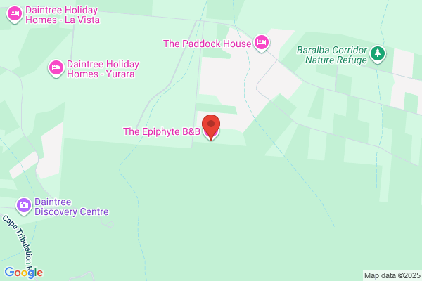 Epiphyte B & B