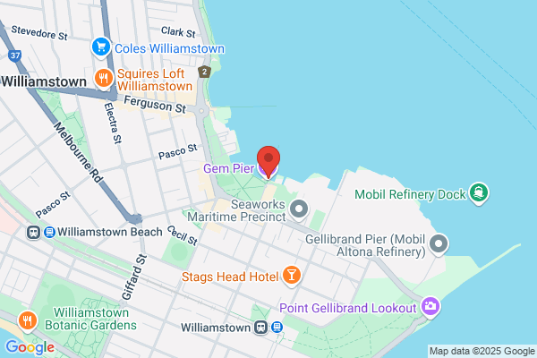 Able Fishing And Charters