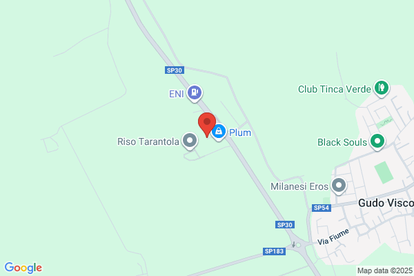 Della Torre D P & L M