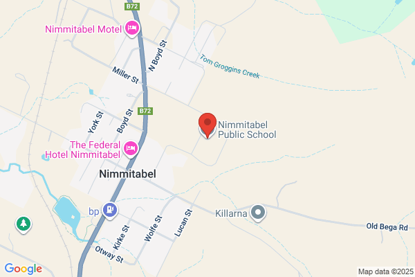 Nimmitabel Public School