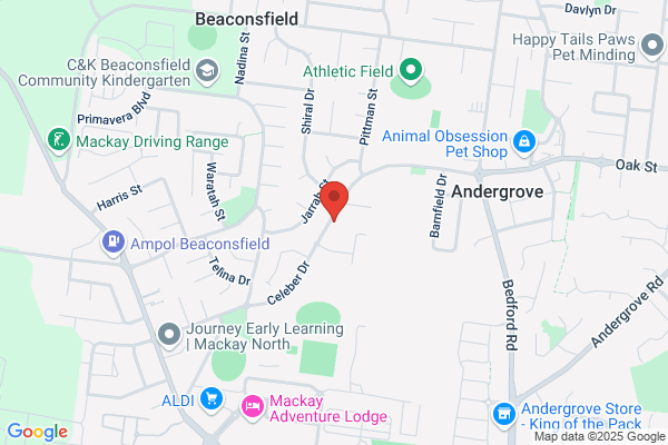 Andergrove Village Aquarium & Pets