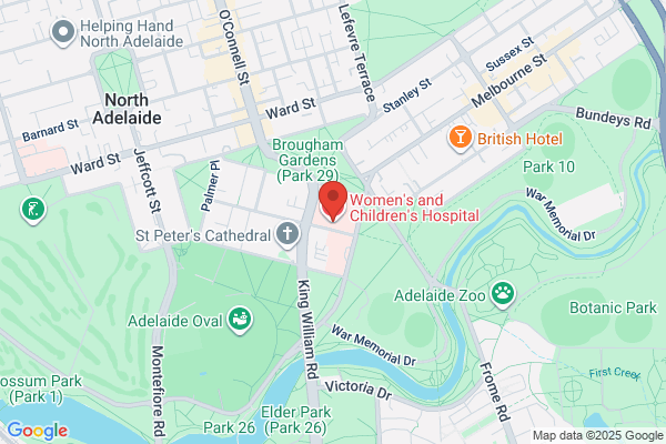 Child & Adolescent Mental Health Service(Northern)