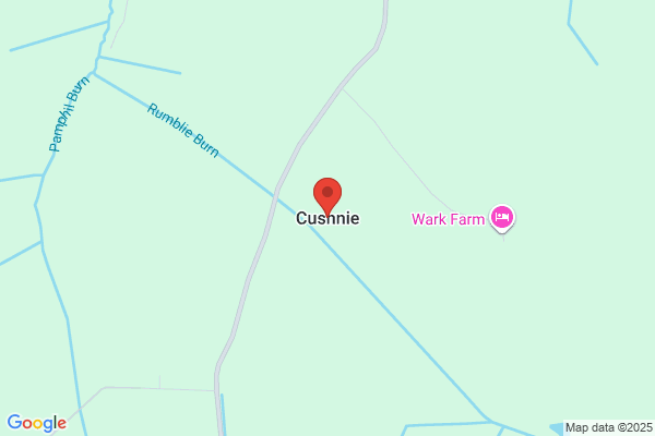 Cushdy
