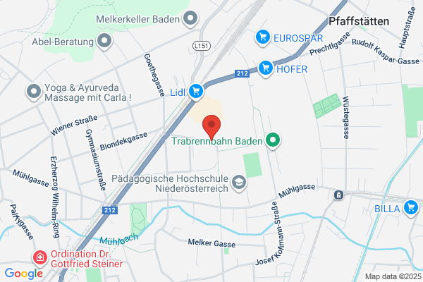 TravelFit 360