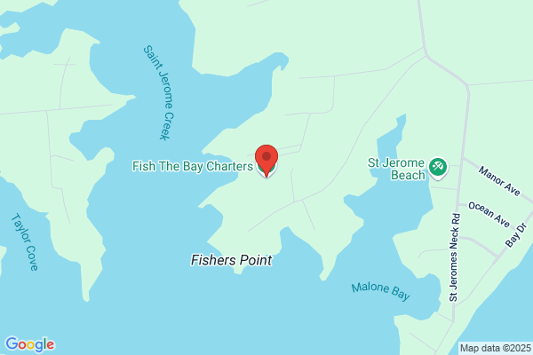 Bay Charters