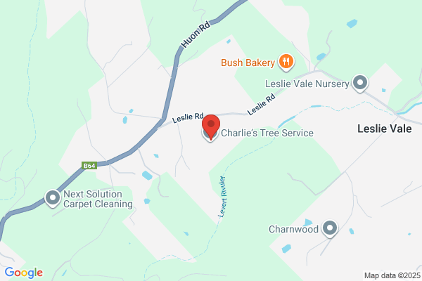 Charlie's Tree Service