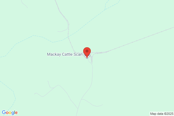 Australian Cattle Facts