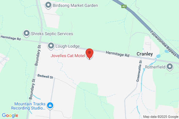 Granvale Cattery