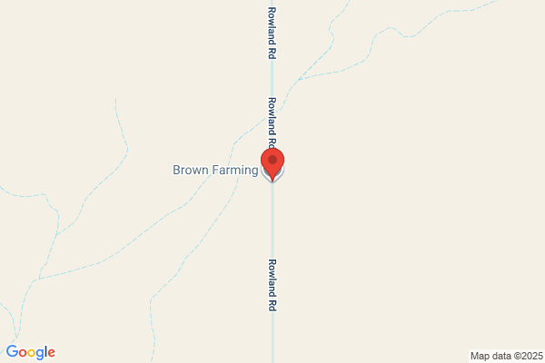 Brown A J