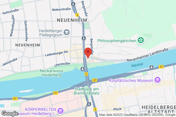 Heidelberg Neuropsychological Group