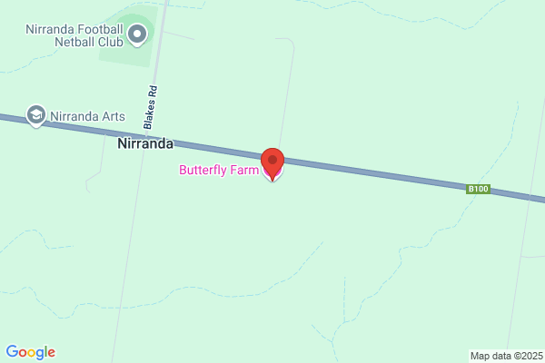 Butterfly Inn The