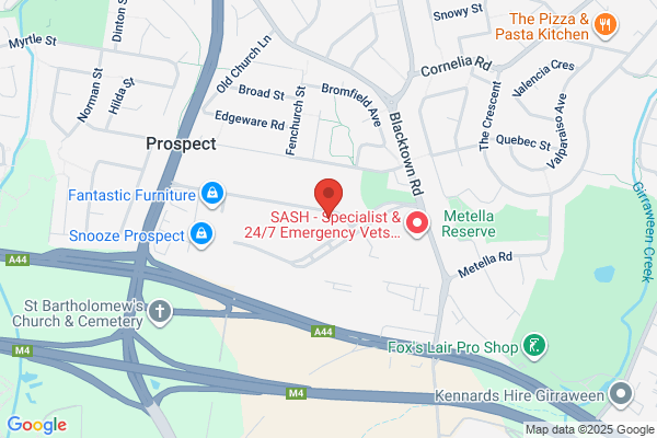Exclusive Kitchens