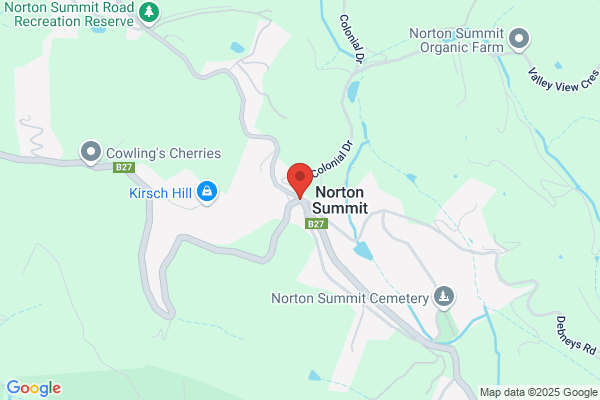 Emma den Hollander
