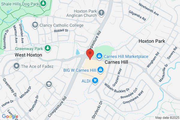 Domino's Pizza Carnes Hill