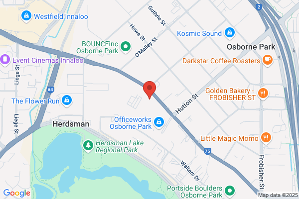 Tilly's Lights